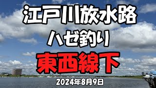 江戸川放水路ハゼ釣り（20240809） [upl. by Elinet918]