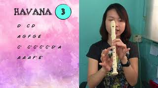 Easy Havana Recorder Tutorial 3  Step by Step [upl. by Yelsgnik733]