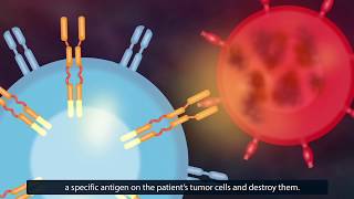 CAR TCell Therapy How Does It Work [upl. by Einalem]