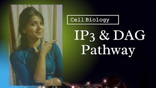 IP3 amp DAG Pathway GPCR  CSIR NET  GATE  BSc  MSc [upl. by Danete513]