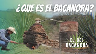 HISTORIA DEL BACANORA  El del Bacanora [upl. by Dylana]