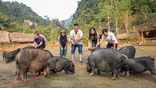 Worlds First Discovery Vlog To Visit Ly Thi Ca Farm amp Residence [upl. by Anined863]