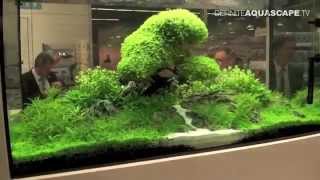 Aquarium ideas from InterZoo 2014 pt32  OASE GmbH [upl. by Juno]