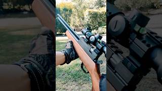 Evanix AR6K 22 Hunting Master PART 3 shorts targetshooting plinking airguns pcp [upl. by Schumer805]