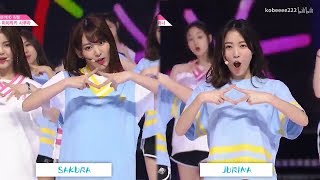 Miyawaki Sakura amp Matsui Jurina Dance Comparison PRODUCE48 NEKKOYA 宮脇咲良 松井珠理奈 IZONE [upl. by Sila]