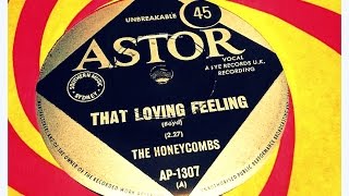 THE HONEYCOMBS  THAT LOVING FEELING [upl. by Riane]