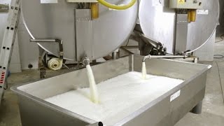 Análisis Procedimientos y Transformación de la Leche  TvAgro por Juan Gonzalo Angel [upl. by Horsey]