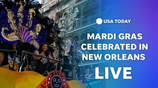 Watch New Orleans celebrates morning Mardi Gras festivities [upl. by Eisteb]