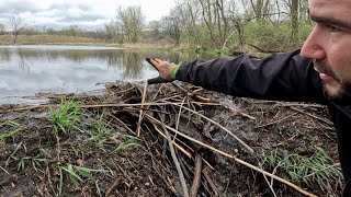 “BEAVERS OCEANIC MISTAKE” Beaver Dam Removal Unleashes Oceans Fury [upl. by Eirallam]