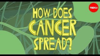 How does cancer spread through the body  Ivan Seah Yu Jun [upl. by Eirised]