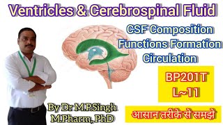 Ventricles  Cerebrospinal Fluid CSF  Human Anatomy amp PhysiologyII  BP201T  L11 [upl. by Ahsemrak]