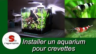 Installer un aquarium pour crevettes  nano aquarium pour crevettes Néocaridina ✔ [upl. by Gytle]