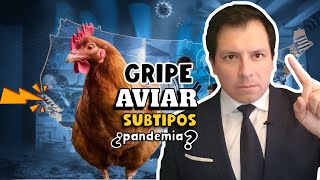 ¡ALERTA CIENTÍFICOS ALERTAN SUBTIPOS DE GRIPE AVIAR CON RIESGO DE PRÓXIMA PANDEMIA [upl. by Atilef]