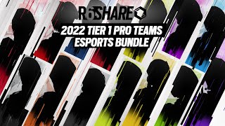 R6 Share  2022 Tier 1 Pro Team Skins  Rainbow Six Esports [upl. by Petronilla19]