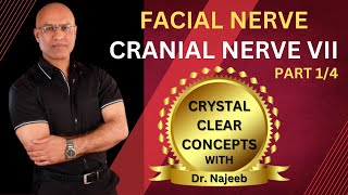 Facial Nerve  Neuroanatomy  Part 14 [upl. by Netty]