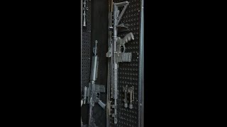 Vaultek RS Safe Accessory Lockers [upl. by Krissie]