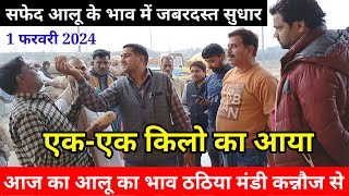 आलू के भाव में हुआ जबरदस्त सुधार ठठिया मंडी कन्नौज में  Aaj Ka Aalu Ka Bhav farookhabad Mandi ka [upl. by Esme]