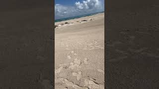 Lancelin SandDunes Western Australia [upl. by Atinar]