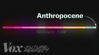 The debate over the Anthropocene explained [upl. by Aiuqenehs108]