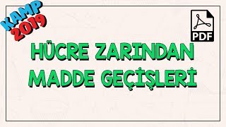 Hücre Zarından Madde Geçişleri [upl. by Adabel]