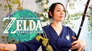 The Legend of Zelda Tears of the Kingdom  Erhu Cover [upl. by Atinuhs]