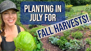 Seeds to Plant in July for a Fall Harvest Zone 6 [upl. by Htiduy173]