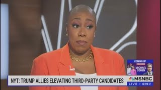 Symone Sanders amp MSNBC are 100 LIARS  TFNOriginal FactChecker [upl. by Morgen501]