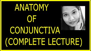 Anatomy of Conjunctiva Complete lecture  Structure Fuction Histology Ophthalmology [upl. by Aubarta103]