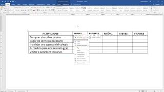 Cómo hacer un cronograma de actividades en Word [upl. by Otrepur756]