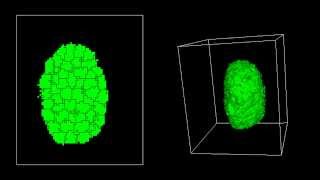 3D ConvergentExtension Simulation [upl. by Isyak287]