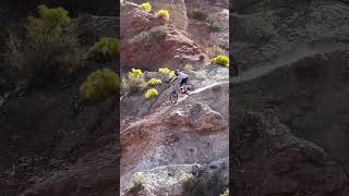 Cam Zinks INSANE winning run from Red Bull Rampage [upl. by Doran]