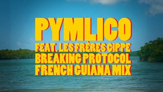 Breaking Protocol  French Guiana Mix feat Les Frères Cippe [upl. by Samalla37]