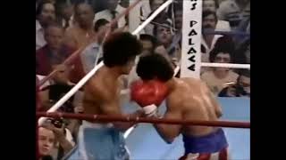 Salvador Sanchez Vs Wilfredo Gomez Highlights WBC Title [upl. by Eolcin]