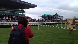 Pedi pulls off the hat trick at Uttoxeter Racecourse [upl. by Ahswat]