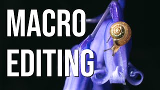 How I edit macro photos like a PRO Lightroom amp focus stacking tutorial [upl. by Hayikat]