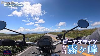 Triumph Scrambler 900 on Venus Line  Tateshina  Kirigamine  ビーナスライン 蓼科～霧ヶ峰 [upl. by Uri192]