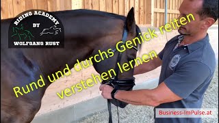 F2 Pferde richtig rund und durchs Genick reiten genau erklärt Beugerkette und Streckerkette [upl. by Neilson]