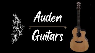 Auden Guitar for sale 1000 killer guitar for half price [upl. by Uria739]