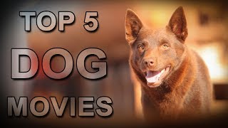 Top 5 Dog Movies That Will Make You Cry [upl. by Chambers969]