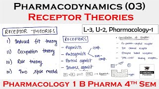 فارماكوديناميكس التفاعلات بين الدواء ومستقبلات الخلية  PharmacodynamicsReceptorDrug interactions [upl. by Abroms]