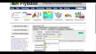 How to find all data related to a gene [upl. by Suehtomit82]