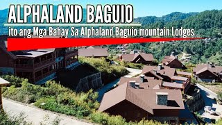 To The Mountain Alphaland Baguio Mountain LodgesEdgar Abejo Vlog [upl. by Ahseem]