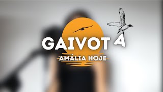 A Gaivota  Perfeito Coração  Lisa Bryer [upl. by Eindys937]