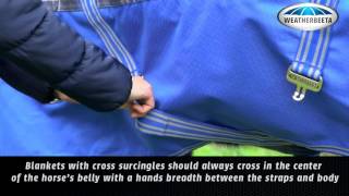 Horse Blanketing Tips How To Fit A Blanket [upl. by Aihsenod]