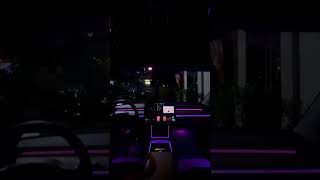 TESLA car with dynamic ambient lighting [upl. by Asira220]