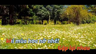 Sau này hãy gặp lại nhau khi hoa nở KARAOKE Tone Nữ SongBy Nguyên Hà [upl. by Eerahs]