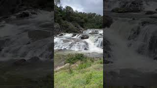 Pykara Waterfalls Ooty  TAMILNADU [upl. by Nirred729]