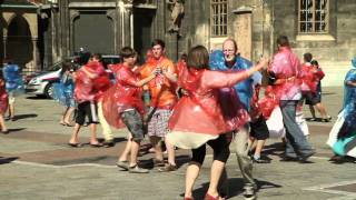 Rudolf Steiner  Eurythmie Flashmob MAK Wien 2011 [upl. by Lewse]