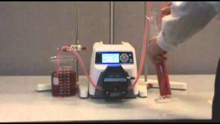 How to calibrate your Masterflex LS Variable Speed Digital Drive [upl. by Dorsman]