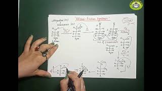 Asending Sugar SeriesKiliani Fischer Synthesis amp Sowden Method Carbohydrates  Lecture 6 [upl. by Stuckey]